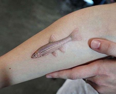 写实小臂鱼纹身图案