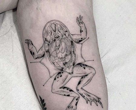 线条小腿青蛙纹身图案