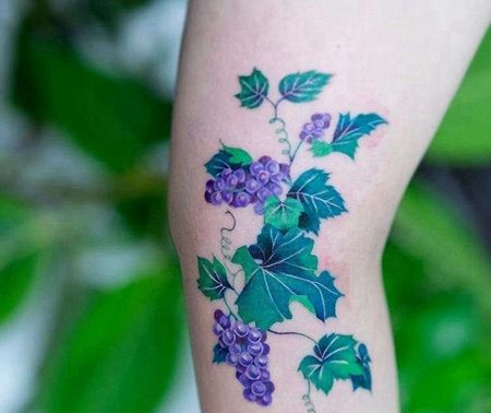 小清新胳膊葡萄纹身图案