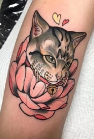 一组日式彩色动物纹身图案