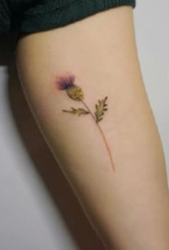 一组小清新花卉手臂纹身图案