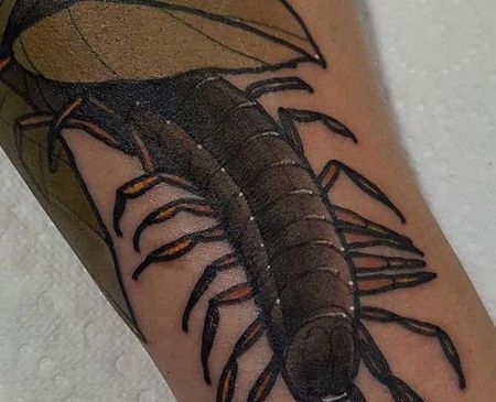 New School小腿蜈蚣纹身图案