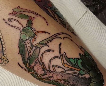 New School小腿螳螂纹身图案