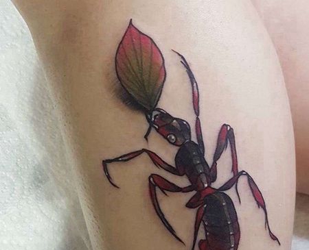 New School小腿蚂蚁纹身图案