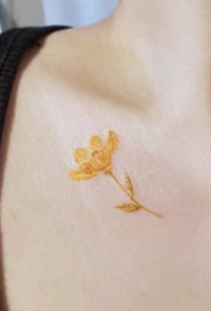 一组女生锁骨小清新纹身图案