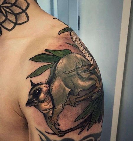 新传统大臂松鼠纹身图案