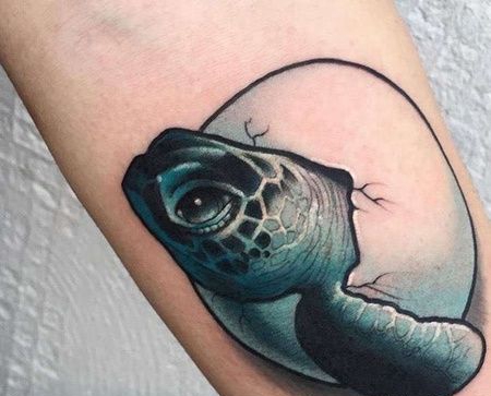 New School小臂海龟纹身图案