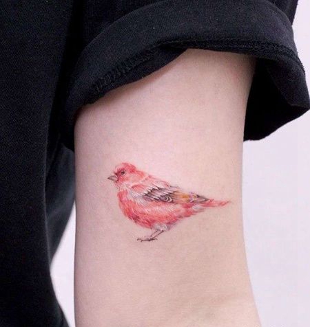 小清新大臂鸟纹身图案