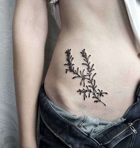 腹部海草纹身图案