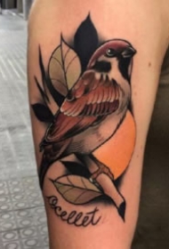 别有风情的一组9款new school纹身图片