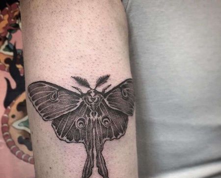 大臂蛾子纹身图案