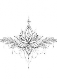 适合女生胸部的一组花胸纹身手稿图片