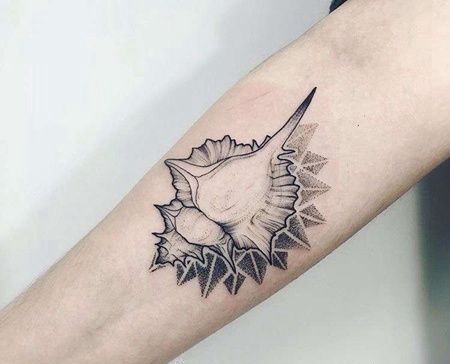 点线小臂海螺纹身图案