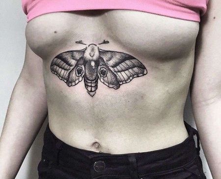 点刺胸下蛾子纹身图案