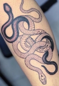 小蛇纹身 国外大师的9款经典蛇纹身图片