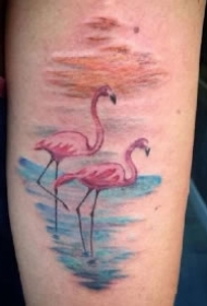 15款火烈鸟主题的纹身图案作品