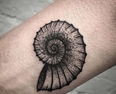 Old School小臂鹦鹉螺纹身图案