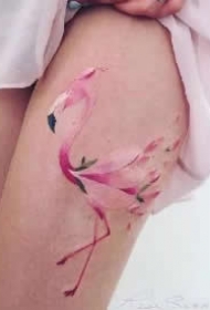 纹身火烈鸟 漂亮的一组火烈鸟主题的纹身图片