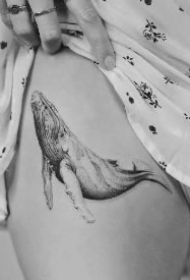 黑鲸纹身 黑色的9款大鲸鱼纹身作品图案