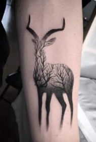 18款小鹿的鹿头纹身作品图片