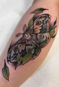 飞蛾纹身 9款彩色school风格的飞蛾子纹身图片