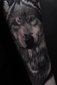 一组欧美动物写实纹身图案