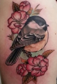 new school风格的一组彩色鸟纹身作品