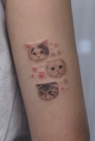 萌翻的的一组宠物小纹身图片