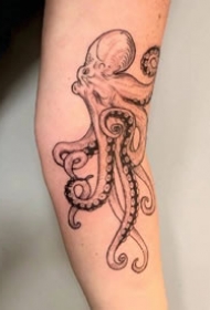 一组黑灰八爪鱼纹身图案