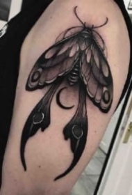 飞蛾纹身--11款酷炸了的school飞蛾系列纹身图片