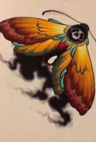 创意飞蛾蝴蝶的9款school纹身手稿图片