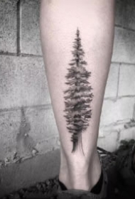 好看的一组小树纹身作品