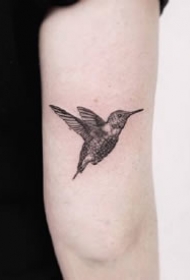 一组小清新黑灰纹身图案