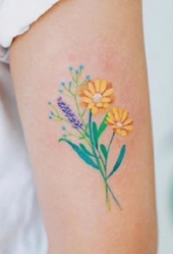 一组彩色可爱的精致纹身