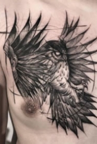 胸部老鹰纹身 6款黑色的胸部飞鹰纹身图案