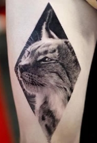 铲屎官专属的一组9款猫纹身图案