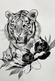 34款各风格的老虎虎头纹身手稿素材图片