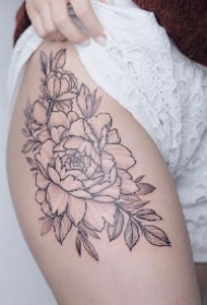 芍药纹身 芍药素花主题的一组纹身图案