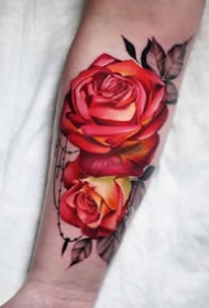 一组彩色逼真玫瑰风格纹身图案
