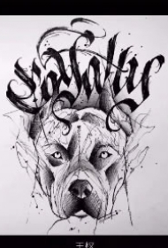 9款不错的英文花体字纹身手稿素材 带中文翻译