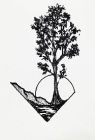 黑色小树主题的一组纹身图案手稿