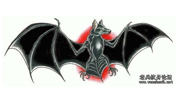 纹身图案:蝙蝠纹身图案