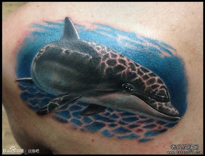 一款漂亮的海豚纹身图案
