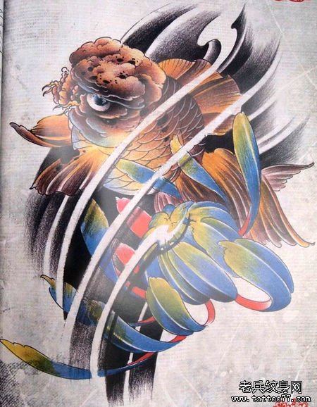 漂亮好看的彩色金鱼与菊花纹身手稿