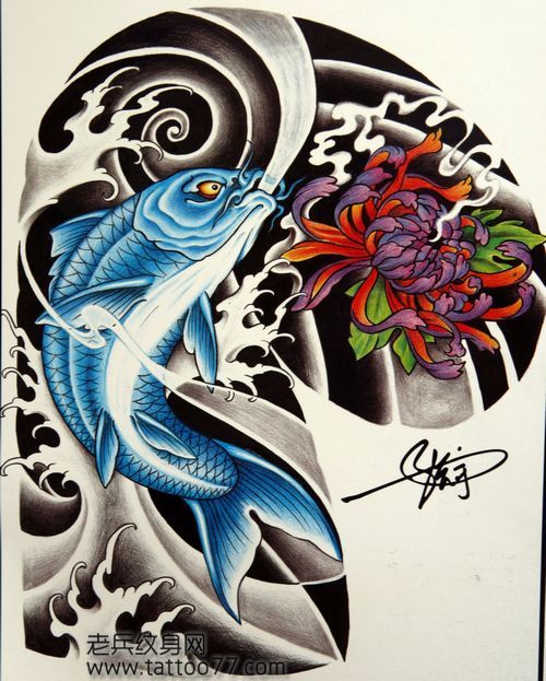 半胛纹身手稿:半胛鲤鱼菊花纹身手稿
