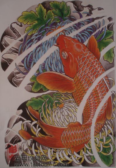 时尚经典的半胛鲤鱼菊花纹身手稿