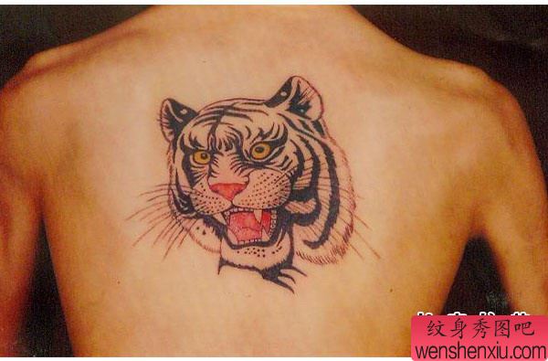 后背虎头纹身图案-阜阳纹身秀图吧推荐