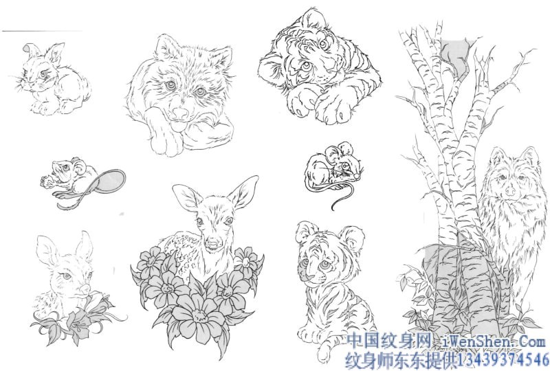 动物纹身图案:老虎兔子老鼠纹身图案