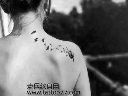 女生喜欢的蒲公英鸽子纹身图案