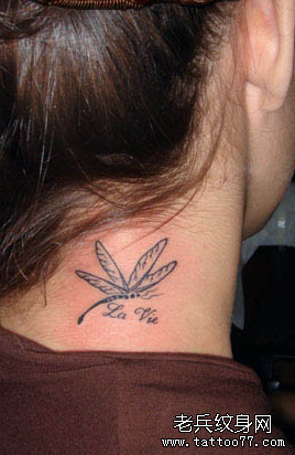 纹身秀图吧推荐一款颈部蜻蜓文身图案